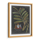 Dramático Royal Botanical Iii - George Ehret | Cuadro decorativo de Canvas Lab