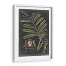 Dramático Royal Botanical Iii - George Ehret | Cuadro decorativo de Canvas Lab