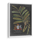 Dramático Royal Botanical Iii - George Ehret | Cuadro decorativo de Canvas Lab