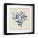 Coral Trio En Índigo I - Vision Studio | Cuadro decorativo de Canvas Lab