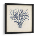 Coral Trio En Índigo I - Vision Studio | Cuadro decorativo de Canvas Lab