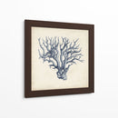 Coral Trio En Índigo I - Vision Studio | Cuadro decorativo de Canvas Lab