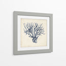 Coral Trio En Índigo I - Vision Studio | Cuadro decorativo de Canvas Lab