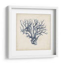 Coral Trio En Índigo I - Vision Studio | Cuadro decorativo de Canvas Lab