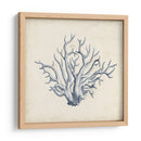 Trio De Coral En Indigo Ii - Vision Studio | Cuadro decorativo de Canvas Lab