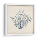 Trio De Coral En Indigo Ii - Vision Studio | Cuadro decorativo de Canvas Lab