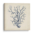 Trio De Coral En Indigo Iii - Vision Studio | Cuadro decorativo de Canvas Lab