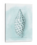 Cáscara Costera Esquemática Iv - Megan Meagher | Cuadro decorativo de Canvas Lab