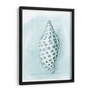 Cáscara Costera Esquemática Iv - Megan Meagher | Cuadro decorativo de Canvas Lab