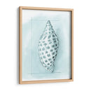 Cáscara Costera Esquemática Iv - Megan Meagher | Cuadro decorativo de Canvas Lab