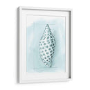 Cáscara Costera Esquemática Iv - Megan Meagher | Cuadro decorativo de Canvas Lab