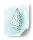 Cáscara Costera Esquemática Iv - Megan Meagher | Cuadro decorativo de Canvas Lab