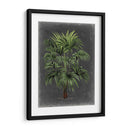 Palm Dramatic I - Vision Studio | Cuadro decorativo de Canvas Lab