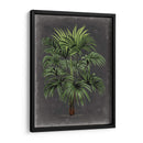 Palm Dramatic I - Vision Studio | Cuadro decorativo de Canvas Lab
