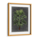 Palm Dramatic I - Vision Studio | Cuadro decorativo de Canvas Lab
