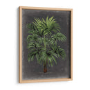 Palm Dramatic I - Vision Studio | Cuadro decorativo de Canvas Lab