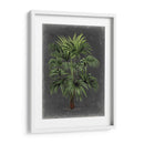 Palm Dramatic I - Vision Studio | Cuadro decorativo de Canvas Lab