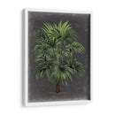Palm Dramatic I - Vision Studio | Cuadro decorativo de Canvas Lab