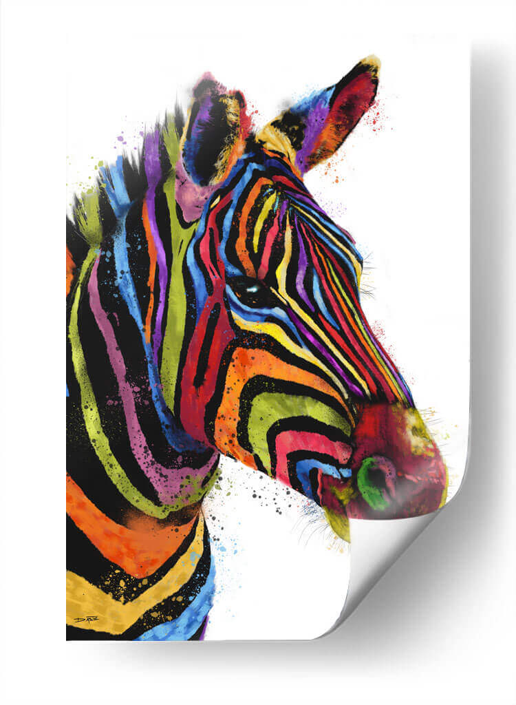 Cebra Colorida - Hue Art | Cuadro decorativo de Canvas Lab