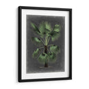 Dramático Palm Ii - Vision Studio | Cuadro decorativo de Canvas Lab