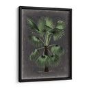 Dramático Palm Ii - Vision Studio | Cuadro decorativo de Canvas Lab
