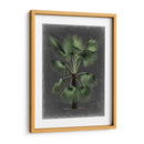 Dramático Palm Ii - Vision Studio | Cuadro decorativo de Canvas Lab