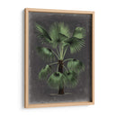 Dramático Palm Ii - Vision Studio | Cuadro decorativo de Canvas Lab