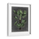 Dramático Palm Ii - Vision Studio | Cuadro decorativo de Canvas Lab