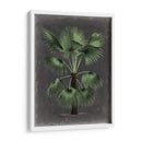 Dramático Palm Ii - Vision Studio | Cuadro decorativo de Canvas Lab