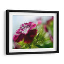 Glorioso En Rojo I - Gillian Hunt | Cuadro decorativo de Canvas Lab