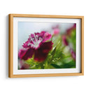 Glorioso En Rojo I - Gillian Hunt | Cuadro decorativo de Canvas Lab