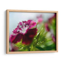 Glorioso En Rojo I - Gillian Hunt | Cuadro decorativo de Canvas Lab