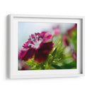 Glorioso En Rojo I - Gillian Hunt | Cuadro decorativo de Canvas Lab