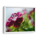 Glorioso En Rojo I - Gillian Hunt | Cuadro decorativo de Canvas Lab