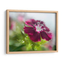 Glorioso En Rojo Ii - Gillian Hunt | Cuadro decorativo de Canvas Lab