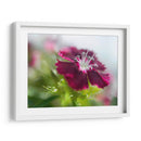 Glorioso En Rojo Ii - Gillian Hunt | Cuadro decorativo de Canvas Lab