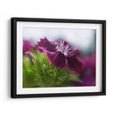 Glorioso En Rojo Iii - Gillian Hunt | Cuadro decorativo de Canvas Lab