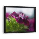 Glorioso En Rojo Iii - Gillian Hunt | Cuadro decorativo de Canvas Lab