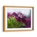 Glorioso En Rojo Iii - Gillian Hunt | Cuadro decorativo de Canvas Lab