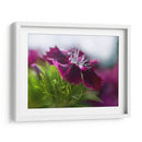 Glorioso En Rojo Iii - Gillian Hunt | Cuadro decorativo de Canvas Lab