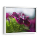 Glorioso En Rojo Iii - Gillian Hunt | Cuadro decorativo de Canvas Lab