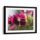 Glorioso En Rojo Iv - Gillian Hunt | Cuadro decorativo de Canvas Lab