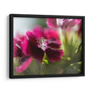 Glorioso En Rojo Iv - Gillian Hunt | Cuadro decorativo de Canvas Lab