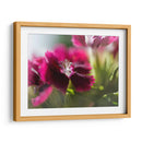 Glorioso En Rojo Iv - Gillian Hunt | Cuadro decorativo de Canvas Lab