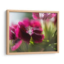 Glorioso En Rojo Iv - Gillian Hunt | Cuadro decorativo de Canvas Lab