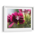 Glorioso En Rojo Iv - Gillian Hunt | Cuadro decorativo de Canvas Lab