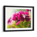 Glorioso En Rojo V - Gillian Hunt | Cuadro decorativo de Canvas Lab