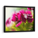 Glorioso En Rojo V - Gillian Hunt | Cuadro decorativo de Canvas Lab