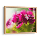 Glorioso En Rojo V - Gillian Hunt | Cuadro decorativo de Canvas Lab