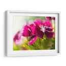 Glorioso En Rojo V - Gillian Hunt | Cuadro decorativo de Canvas Lab